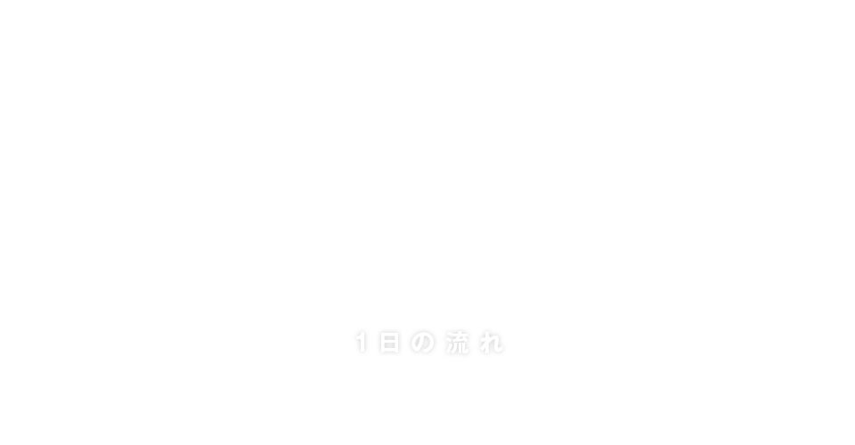 １日の流れ